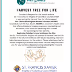 Harvest Tree for Life