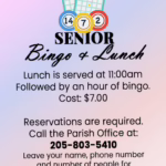 Senior Bingo and Lunch