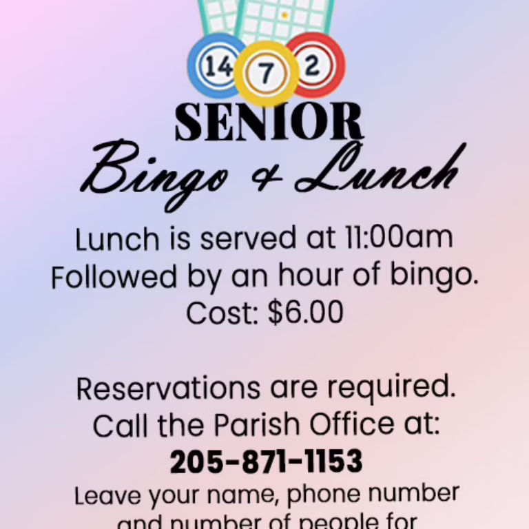 Senior Bingo & Lunch